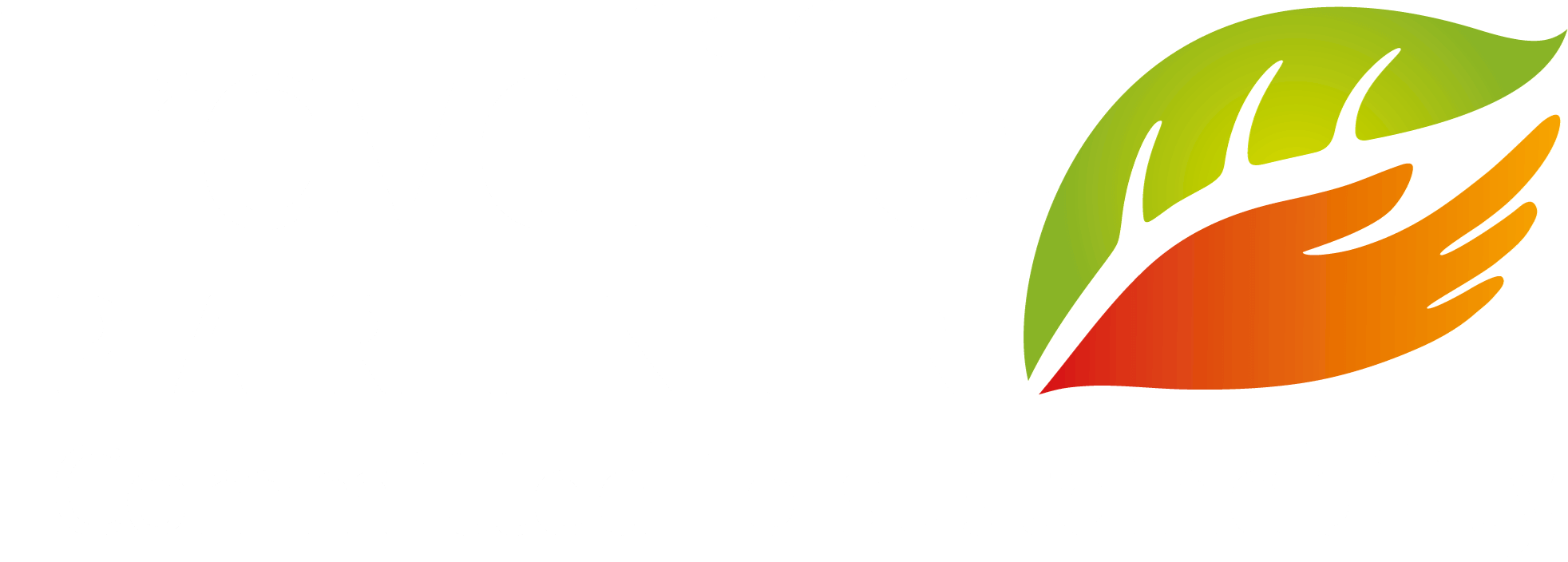 Travelife Partner